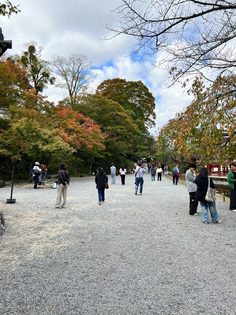 สวนวัดเบียวโดอิน เมืองอุจิ จังหวัดเกียวโต ประเทศญี่ปุ่น
Garden in Byodoin, Byodoin temple, Uji, Kyoto, Japan