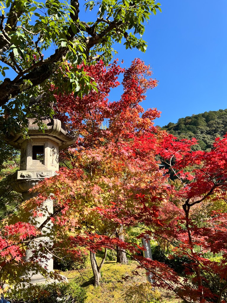 ใบไม้เปลี่ยนสี วัดเอคันโด จังหวัดเกียวโต
Momiji in Eikando, Kyoto