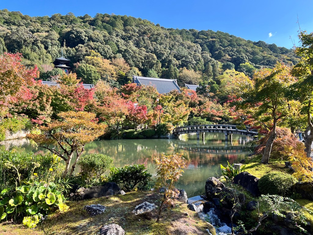 สวนในวัดเอคันโด เกียวโต
Garden in Eikando temple, Kyoto