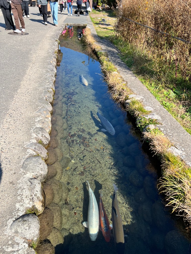 ทางน้ำข้างทางเดิน, หมู่บ้านชิราคาวาโกะ
Water path in Shirakawago village